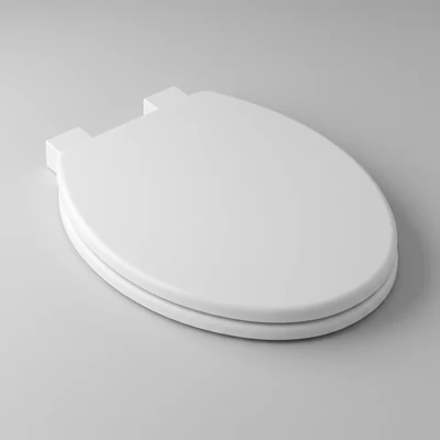 Standard Toilet Seats thumbnail