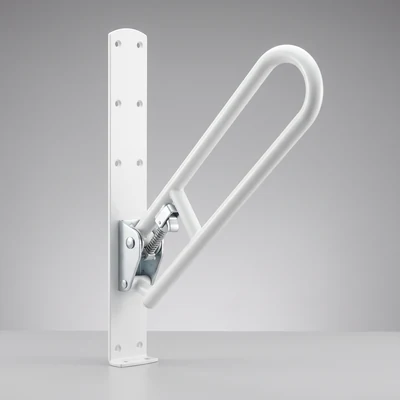 Swing-Up (Fold-Down) Grab Bars thumbnail