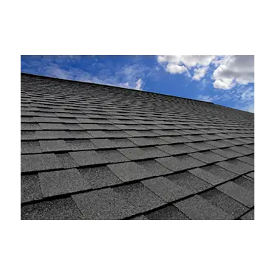 Roof Shingles thumbnail