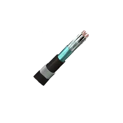 Overall Screened Armoured Instrumentation Cables thumbnail