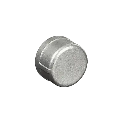 End Caps & Plugs for Heavy-Wall RMC & Medium-Wall IMC Metal Conduit thumbnail