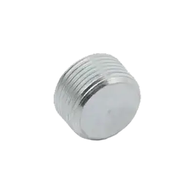 Hazardous Location Blank Plugs thumbnail