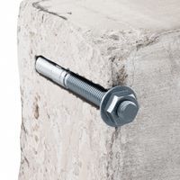 Anchors for Concrete, Block, & Brick thumbnail