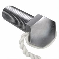 Lockable Hex Head Cap Screws thumbnail