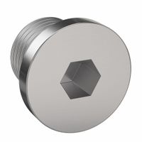 Socket Screw Plugs thumbnail