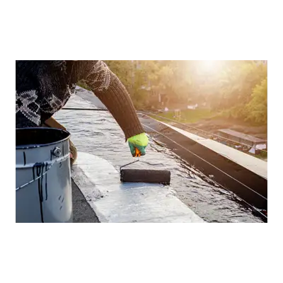 Roof & Leak Coatings thumbnail