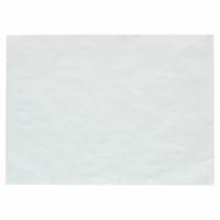 Disposable Placemats, Tray & Table Covers thumbnail