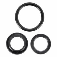 Seal Kits for Hydraulic Cylinders thumbnail