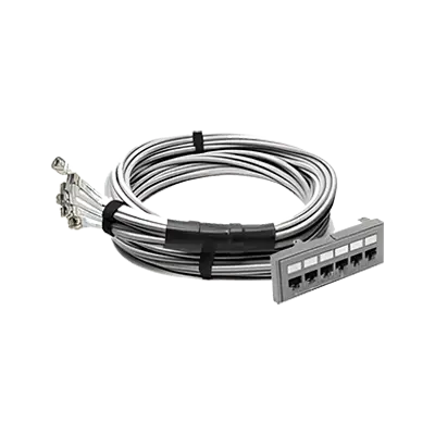 Trunk Assemblies thumbnail