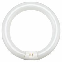 Circular Light Bulbs & Lamps thumbnail