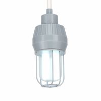 Pendant-Mounted Round Incandescent Hazardous Location Lights thumbnail