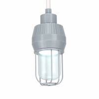 Pendant-Mounted Round LED Hazardous Location Lights thumbnail