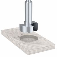 Forstner Drill Bits for Smooth Finish & Flat-Bottom Holes thumbnail