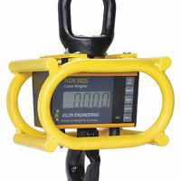 Crane Scales and Dynamometers thumbnail