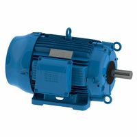 Cooling Tower AC Motors thumbnail