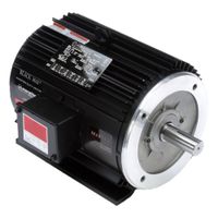 Vector (Inverter) AC Motors thumbnail