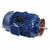 Vertical Pump AC Motors thumbnail