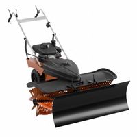 Snow Sweepers & Replacement Brushes thumbnail