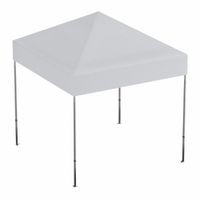 Canopy Tents & Temporary Shelters thumbnail