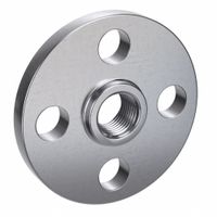 Stainless Steel Pipe Flanges thumbnail