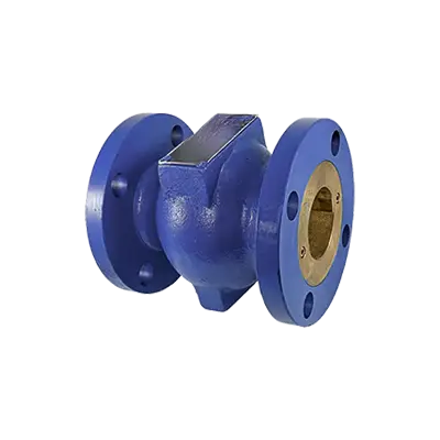 Globe-Body Disc Check Valves thumbnail