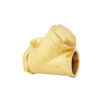 Y Swing Check Valves thumbnail