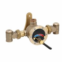 Steam & Cold Water Mixing Valves thumbnail