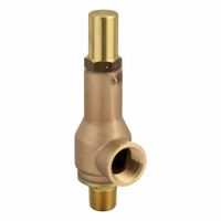 Cryogenic Service Pressure Relief Valves thumbnail