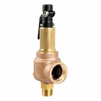 Steam Pressure Relief Valves thumbnail
