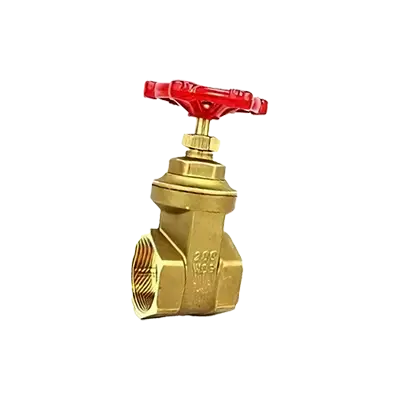 Brass Gate Valves for Potable Water thumbnail
