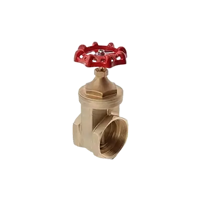 Brass General Purpose Gate Valves thumbnail