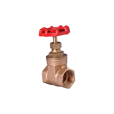 Bronze Gate Valves for Potable Water thumbnail