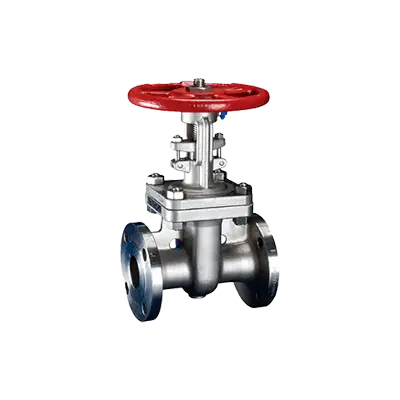 Stainless Steel Gate Valves for Petroleum & Gas Industry thumbnail