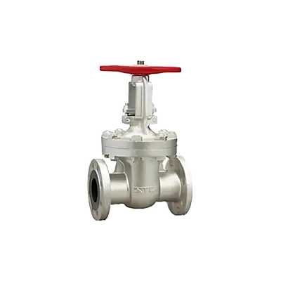Stainless Steel General Purpose Gate Valves thumbnail