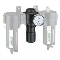 FRL Compressed Air Regulators thumbnail