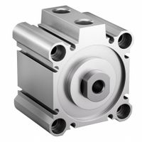 Single-Acting Compact Air Cylinders thumbnail