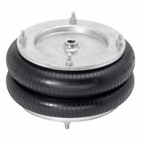 Vibration-Isolating Air Springs thumbnail