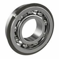 Retaining Ring Ball Bearings thumbnail