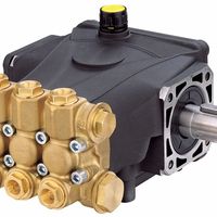 Pressure Washer Pumps thumbnail