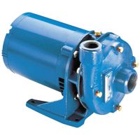 Straight Centrifugal Pumps, Motors, Impellers & Seals thumbnail