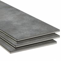 Nickel Sheets & Plates thumbnail