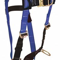Safety Harnesses for Positioning & Climbing thumbnail