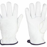 Leather Cut-Resistant Gloves thumbnail