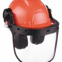 Head Protection Combination Kits thumbnail