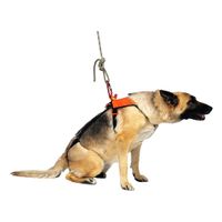 Animal Rescue Equipment thumbnail