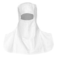 Hoods for Cleanrooms thumbnail