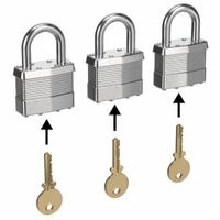 Keyed Different Padlocks thumbnail