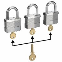 Master Keyed Padlocks thumbnail