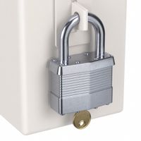 Master Keyed Standard Shackle Padlocks thumbnail
