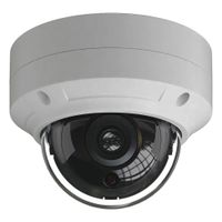 Video Surveillance Cameras & Systems thumbnail